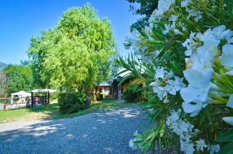 ピネローロ La Poiana Bed & Breakfast エクステリア 写真